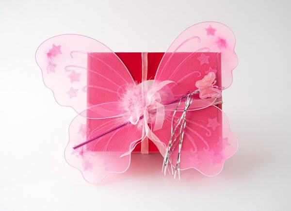 Fairy Art Box Butterfly from the Art Box Academy